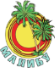 logo_footer logo_footer